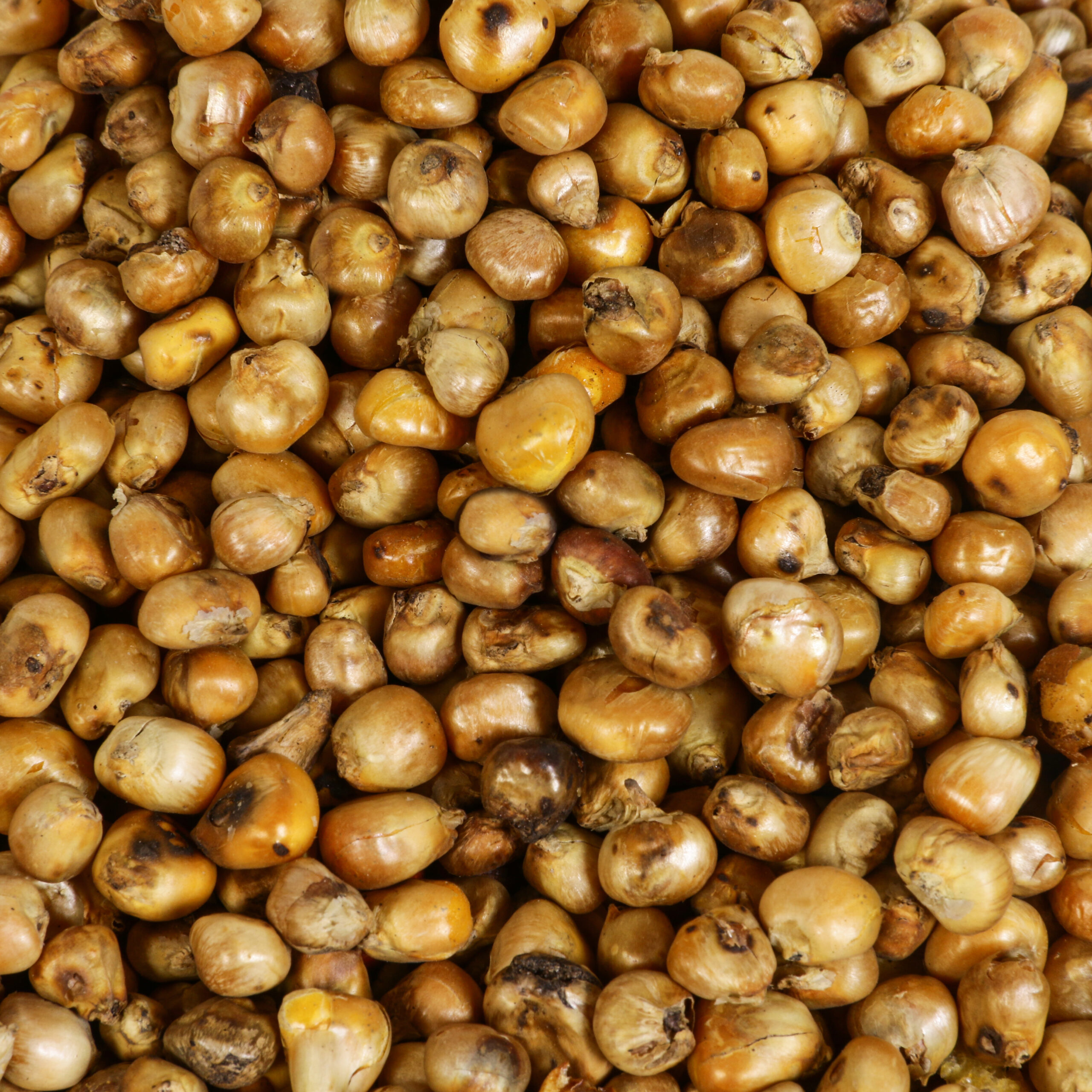 9I4A6424Bhuja healthy snack from Bihar products